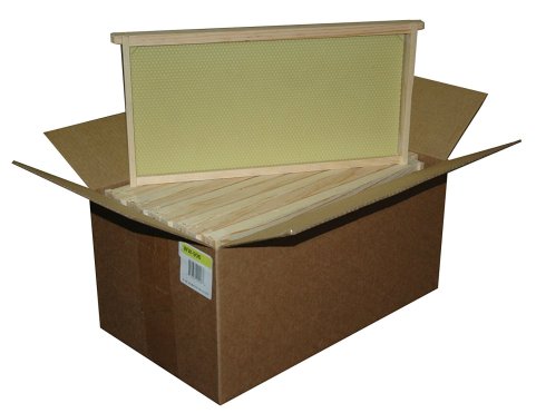 71BjDtGXUuL._SL1500_