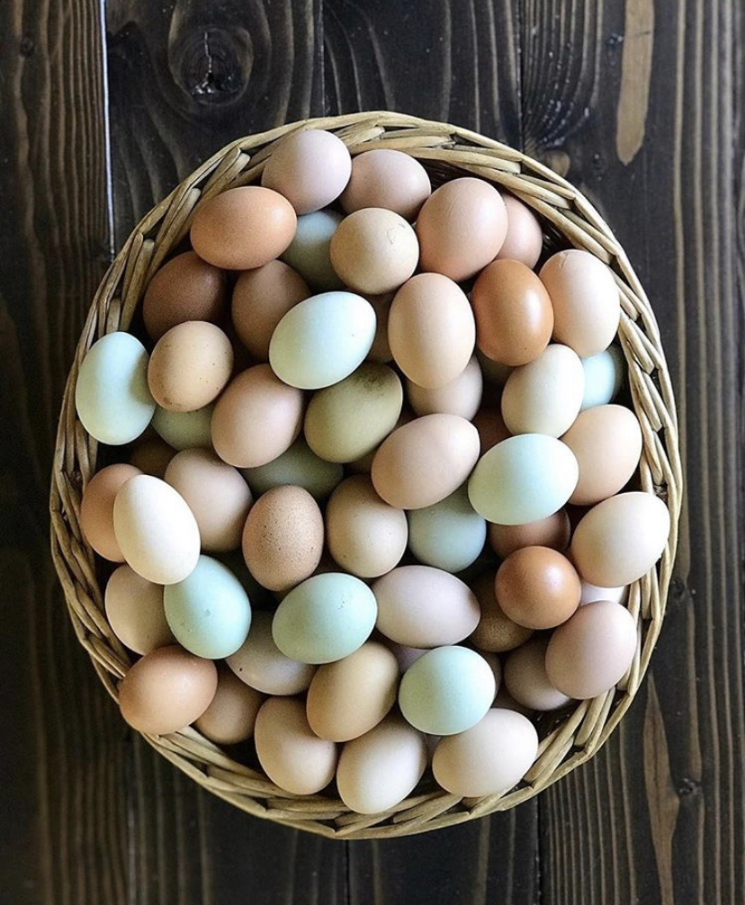 071878EA-920E-487A-9FDE-346D562A6BBB